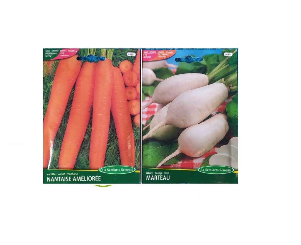 Graines De Navet Des Vertus MARTEAU - Variété Ancienne Racine Blanche Sucrée, Semis Mars à Août