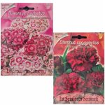 Semences floral la semiorto sementi Graines Oeillet de chine, dianthus chinensis