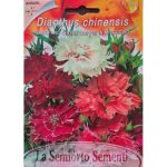 Semences floral la semiorto sementi Graines Oeillet de chine, dianthus chinensis – Image 2