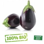 Semences d’Aubergine la semiorto sementi Graines d'Aubergine Black Beauty non GMO – Image 2