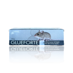 Glueforte – Image 4