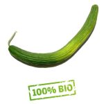 la semiorto sementi Graines Fegouz vert fonce Concombre non GMO – Image 2