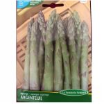 Semences d'Asperge la semiorto sementi Graines Asparagus argenteuil