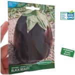 Semences d’Aubergine la semiorto sementi Graines d'Aubergine Black Beauty non GMO