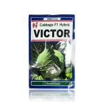 Cabbage F1 Hybrid VICTOR